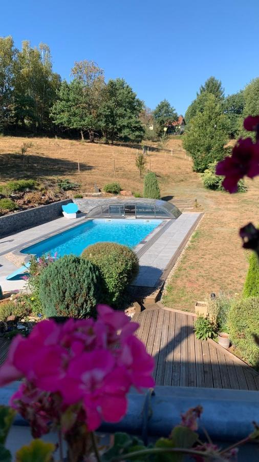 Petit Chalet individuel dans un écrin de verdure Plaine Extérieur photo