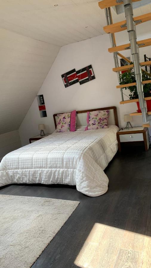 Petit Chalet individuel dans un écrin de verdure Plaine Extérieur photo